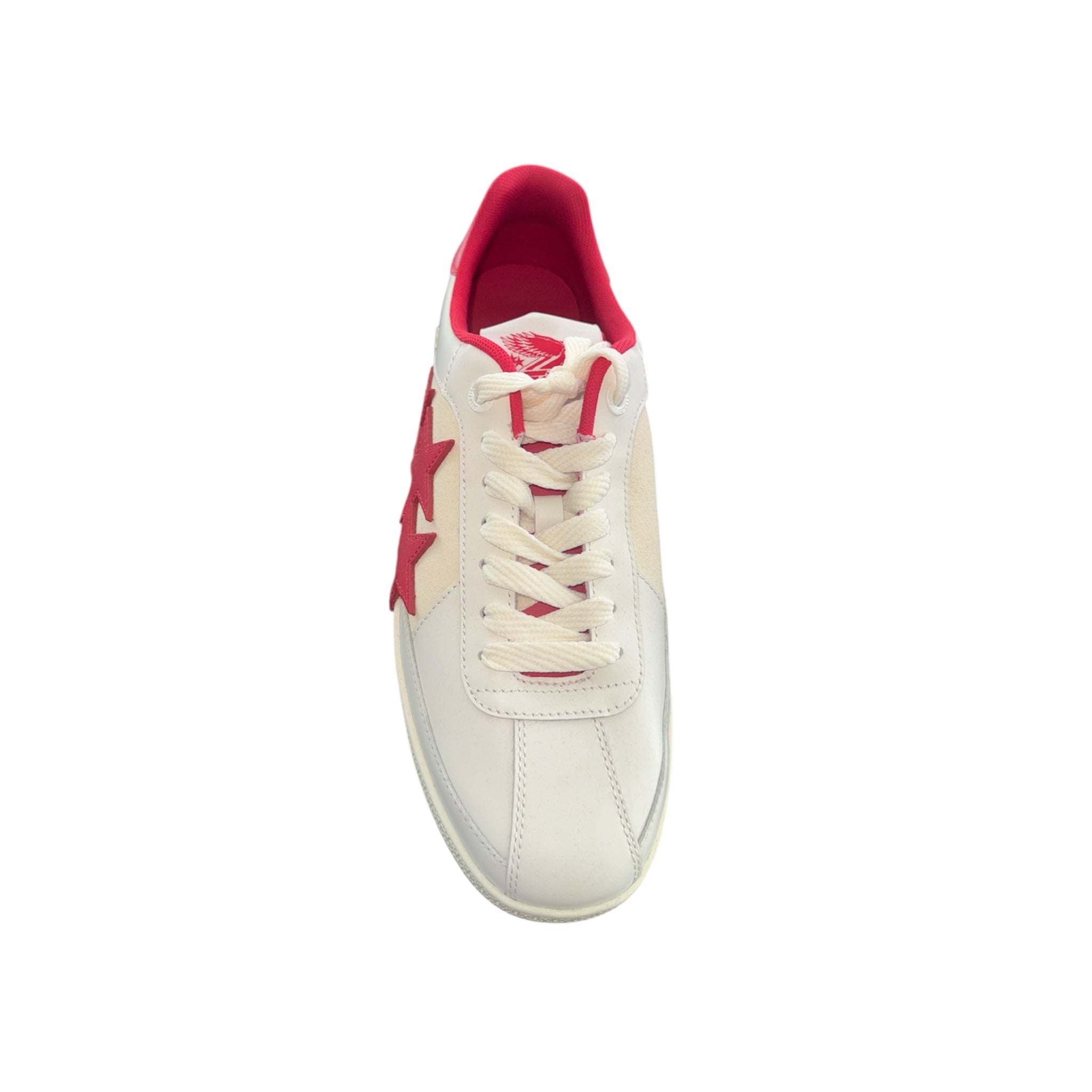 Tenis Amiri